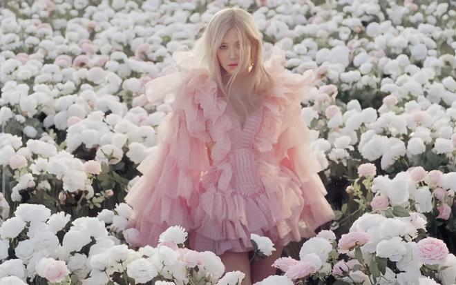 blackpink rose covid-19