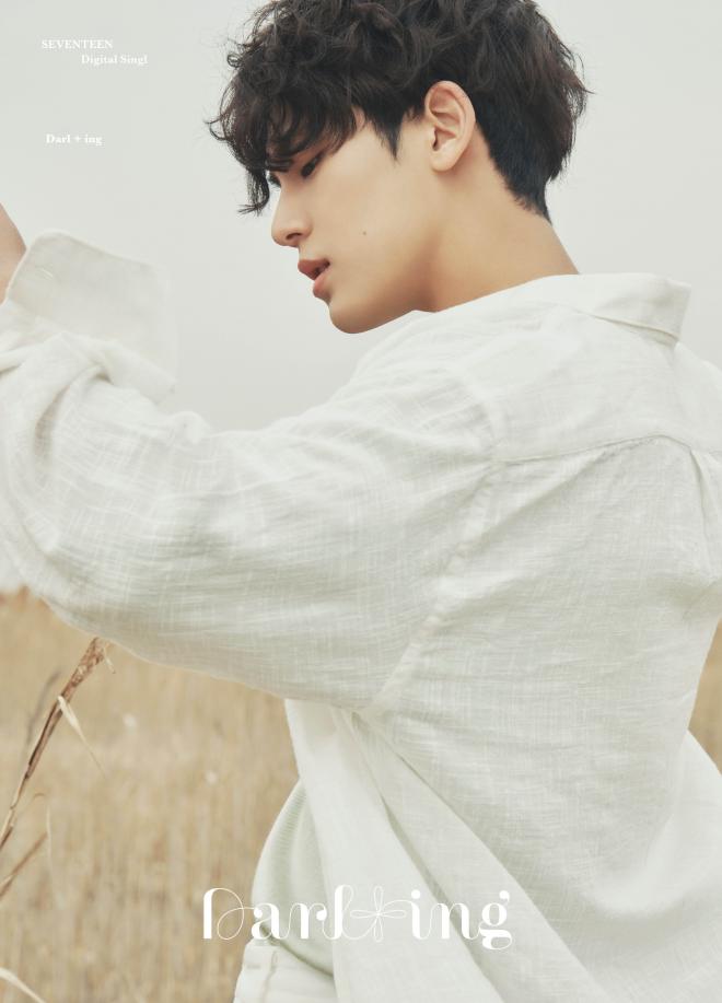 seventeen concept photos darling