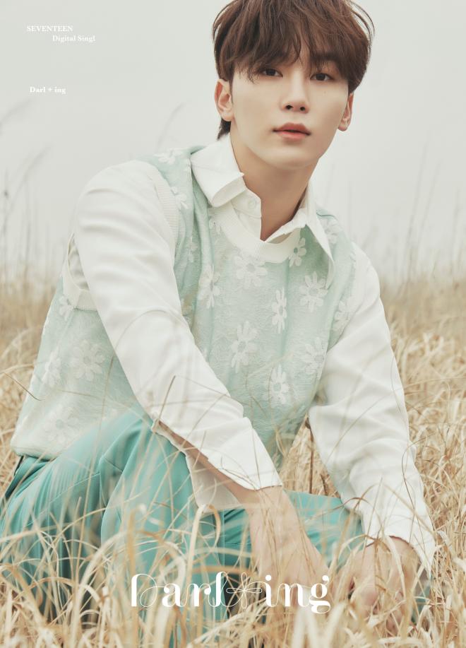 seventeen concept photos darling