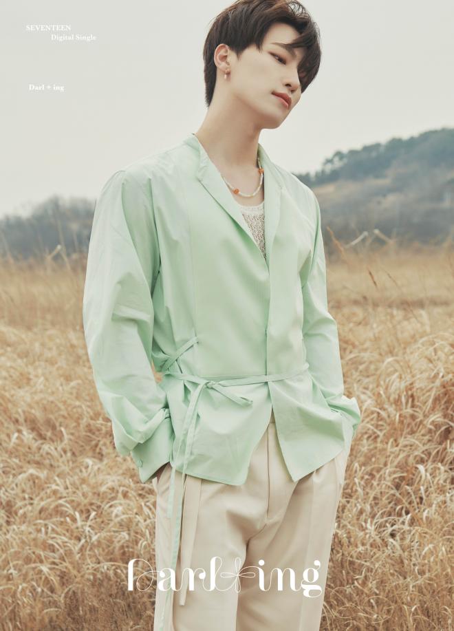seventeen concept photos darling