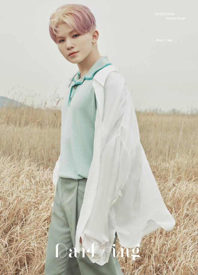 seventeen concept photos darling